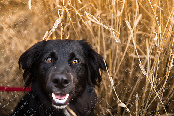 hudson manning-20