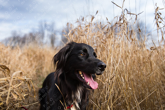 hudson manning-39