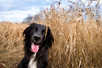 hudson