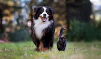 mimi and arthur