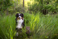 annie maggie oscar crawford-247 combined