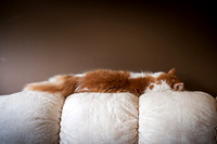 tigger-11
