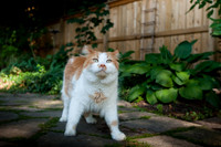 tigger-46