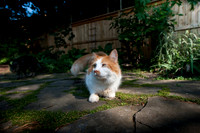 tigger-48