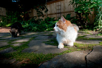 tigger-49