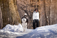 alame huskies-173 with owner