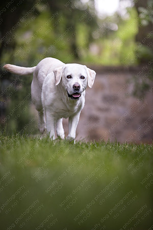 sandy scout leibel-251-Edit