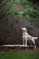 sandy scout leibel-008