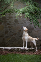 sandy scout leibel-006