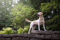 sandy scout leibel-037-Edit