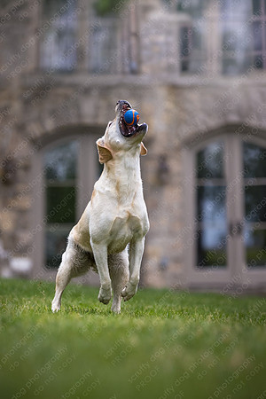sandy scout leibel-166-Edit