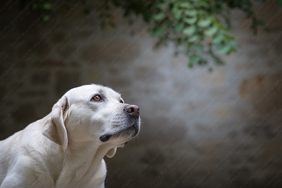 sandy scout leibel-188-Edit