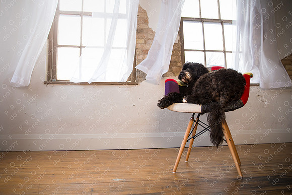 georgie seager enns studio-181