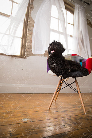 georgie seager enns studio-129