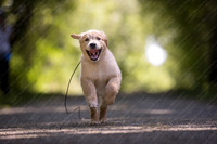 chelsea lindsay-048