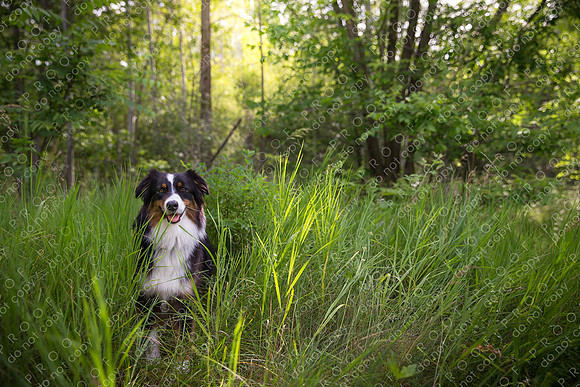 annie maggie oscar crawford-247