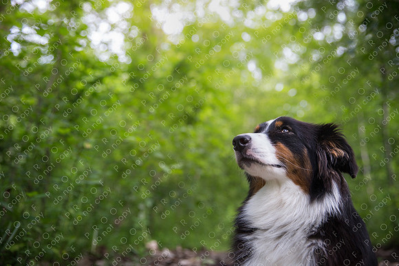 annie maggie oscar crawford-358