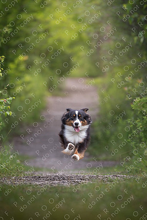 annie maggie oscar crawford-593