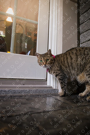 ollie lola nooyen-26