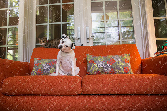 ollie lola nooyen-119