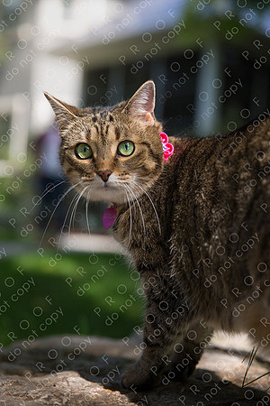 ollie lola nooyen-251