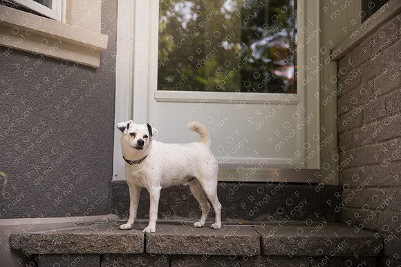 ollie lola nooyen-330