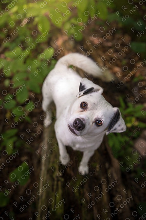 ollie lola nooyen-341