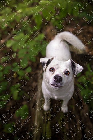 ollie lola nooyen-347