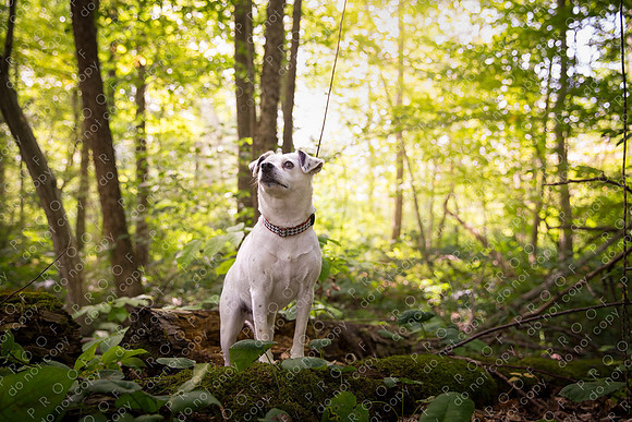ollie lola nooyen-351
