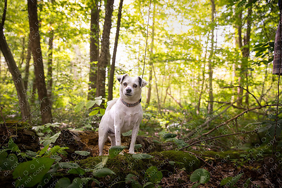ollie lola nooyen-357