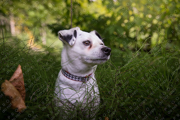 ollie lola nooyen-398