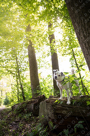 ollie lola nooyen-416
