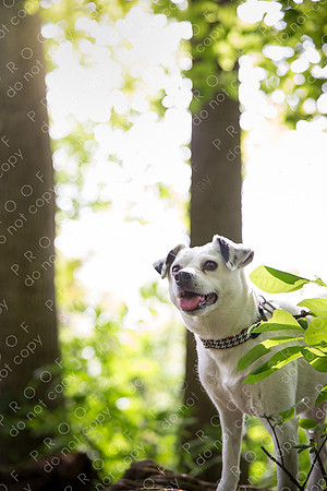 ollie lola nooyen-423