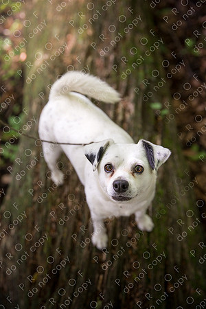 ollie lola nooyen-448