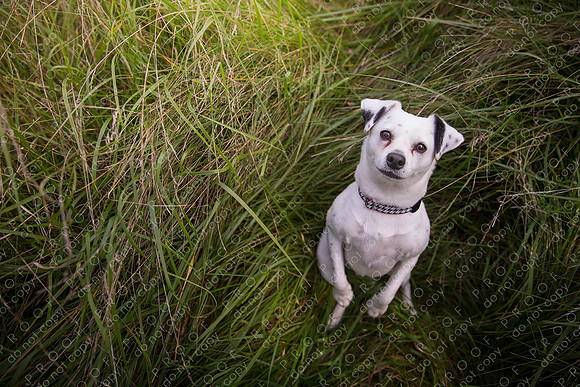 ollie lola nooyen-504