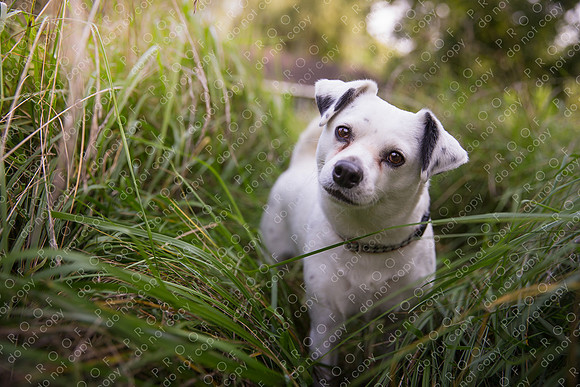 ollie lola nooyen-519