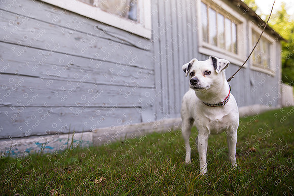 ollie lola nooyen-578