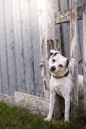 ollie lola nooyen-642