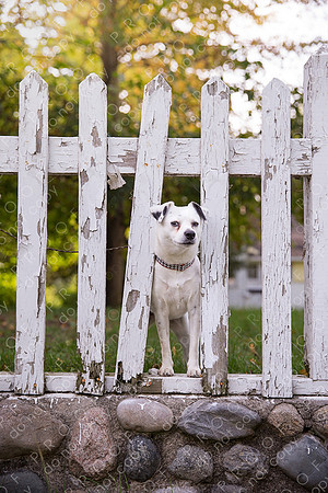 ollie lola nooyen-671