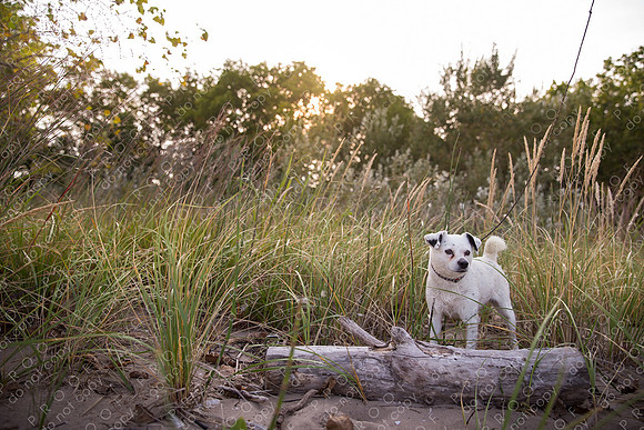 ollie lola nooyen-950