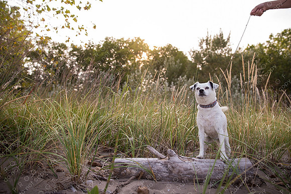ollie lola nooyen-957