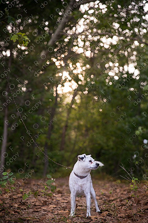 ollie lola nooyen-1027