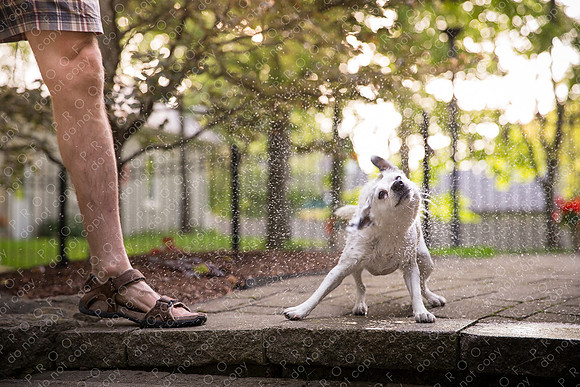ollie lola nooyen-1093