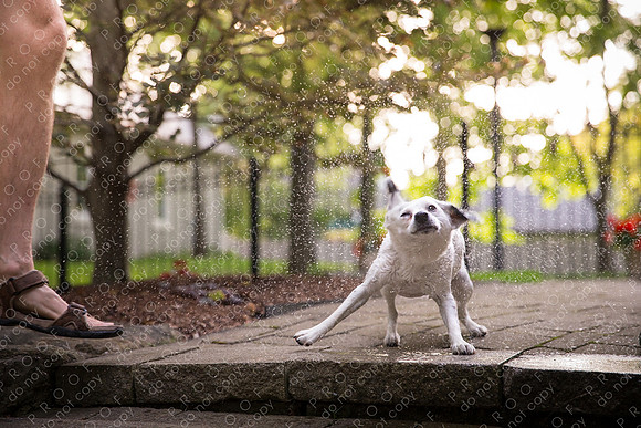 ollie lola nooyen-1094