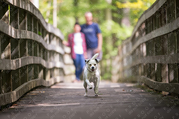 ollie lola nooyen-1148