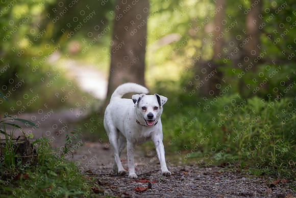 ollie lola nooyen-1208
