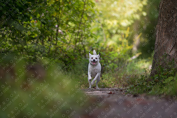 ollie lola nooyen-1243