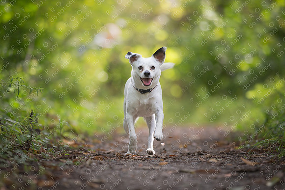 ollie lola nooyen-1307