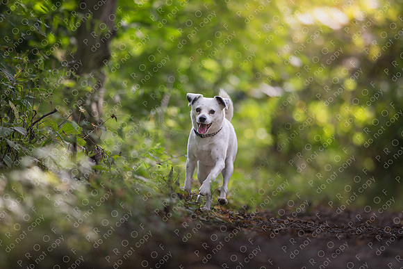 ollie lola nooyen-1324