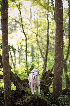ollie lola nooyen-1377